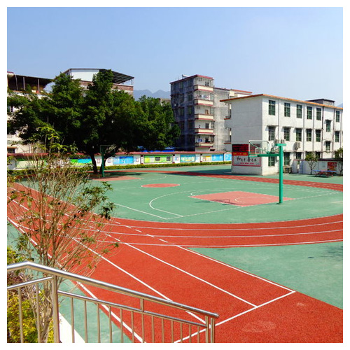 广东雷公坑小学复合型塑胶跑道